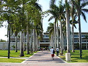 University of Miami Bail Bondsmen